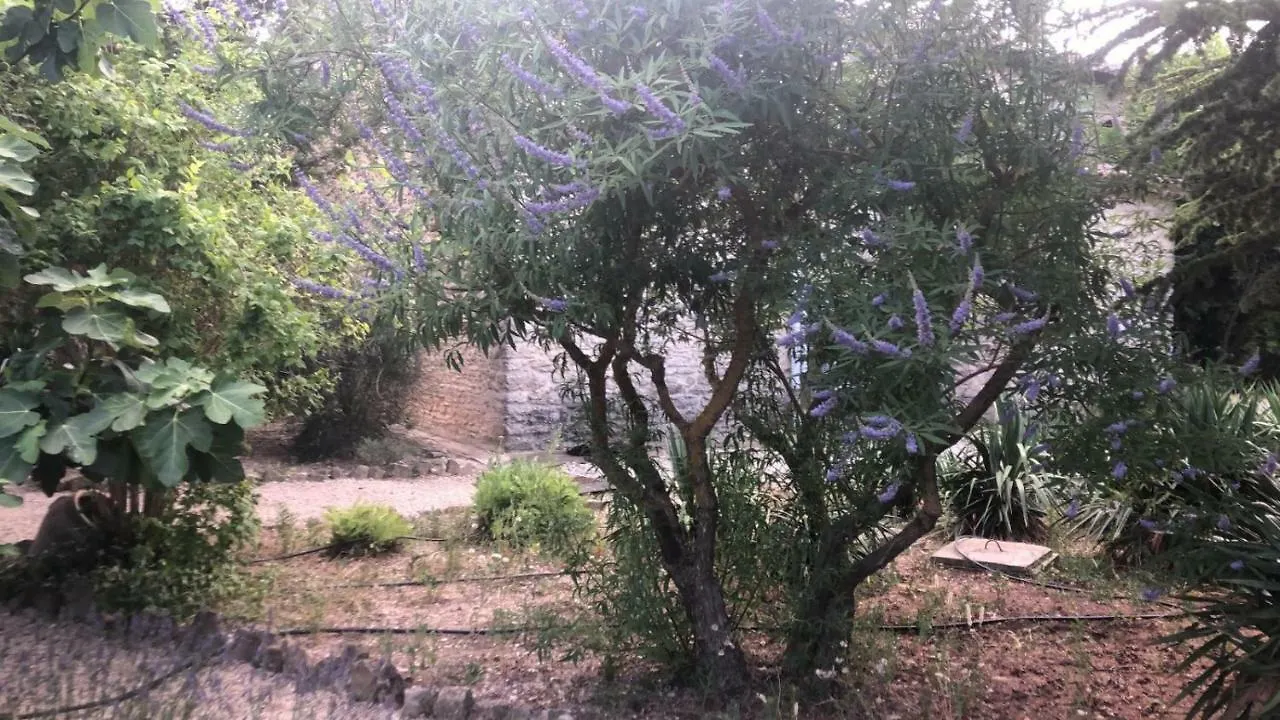 Jas De Garrigue Le Ventoux Apartamento Oppède